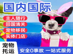 白山长白山航空快运国际宠物托运 【国